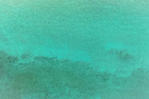 545 S Fort Lauderdale Beach Boulevard Fort Lauderdale FL 33316
