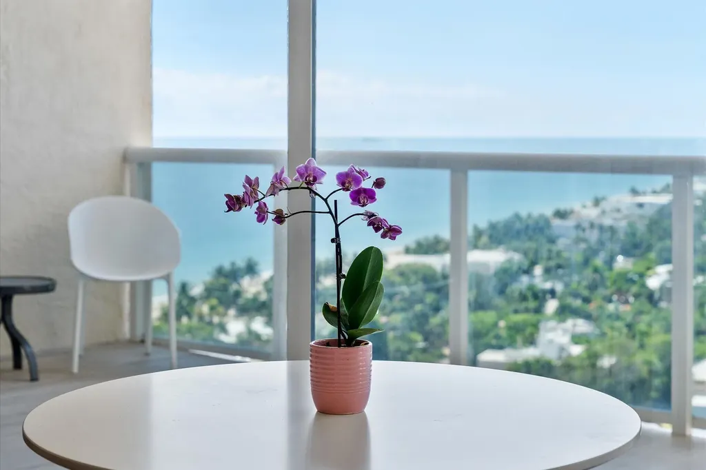 3100 N Ocean Boulevard Fort Lauderdale FL 33308