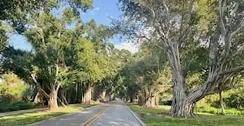 8867 SE Rigdon Way Hobe Sound FL 33455