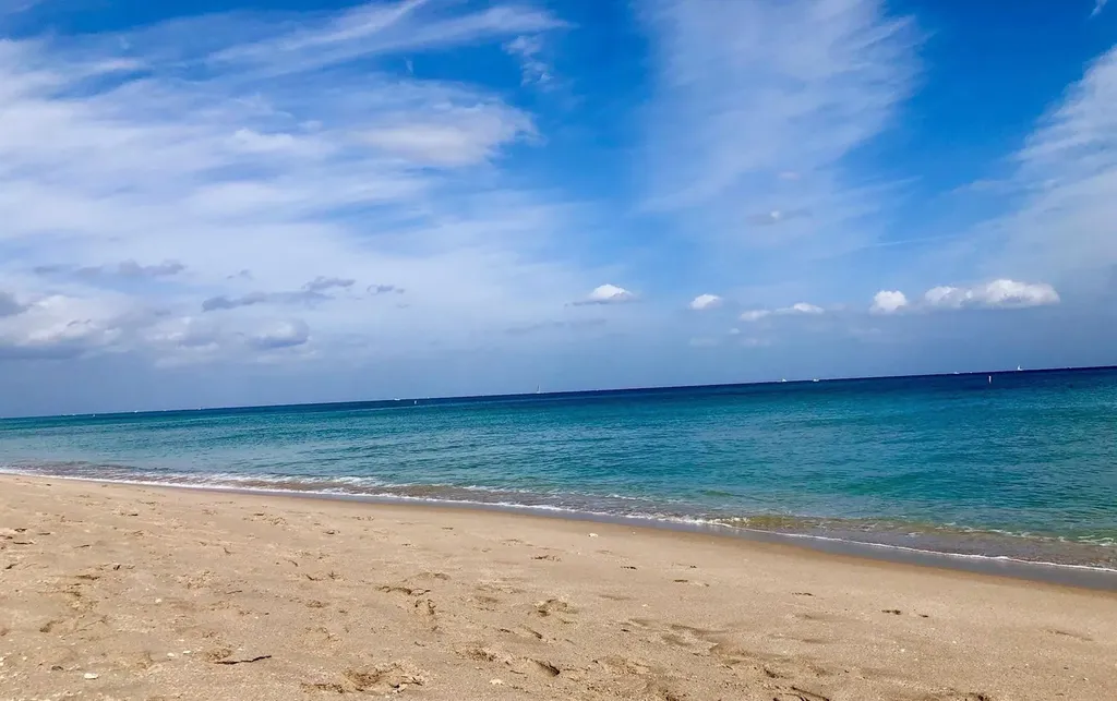 6000 N Ocean Boulevard Lauderdale By The Sea FL 33308