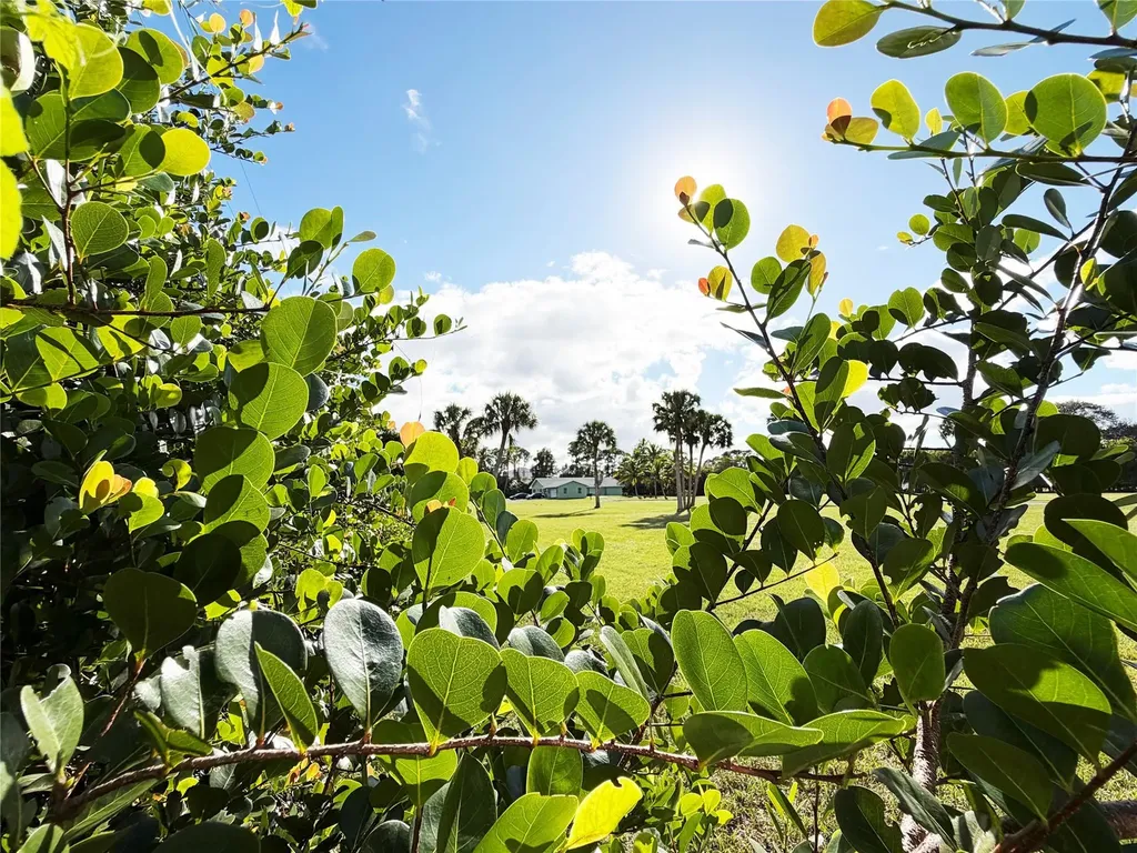 4656 Lillian Avenue Palm Beach Gardens FL 33418