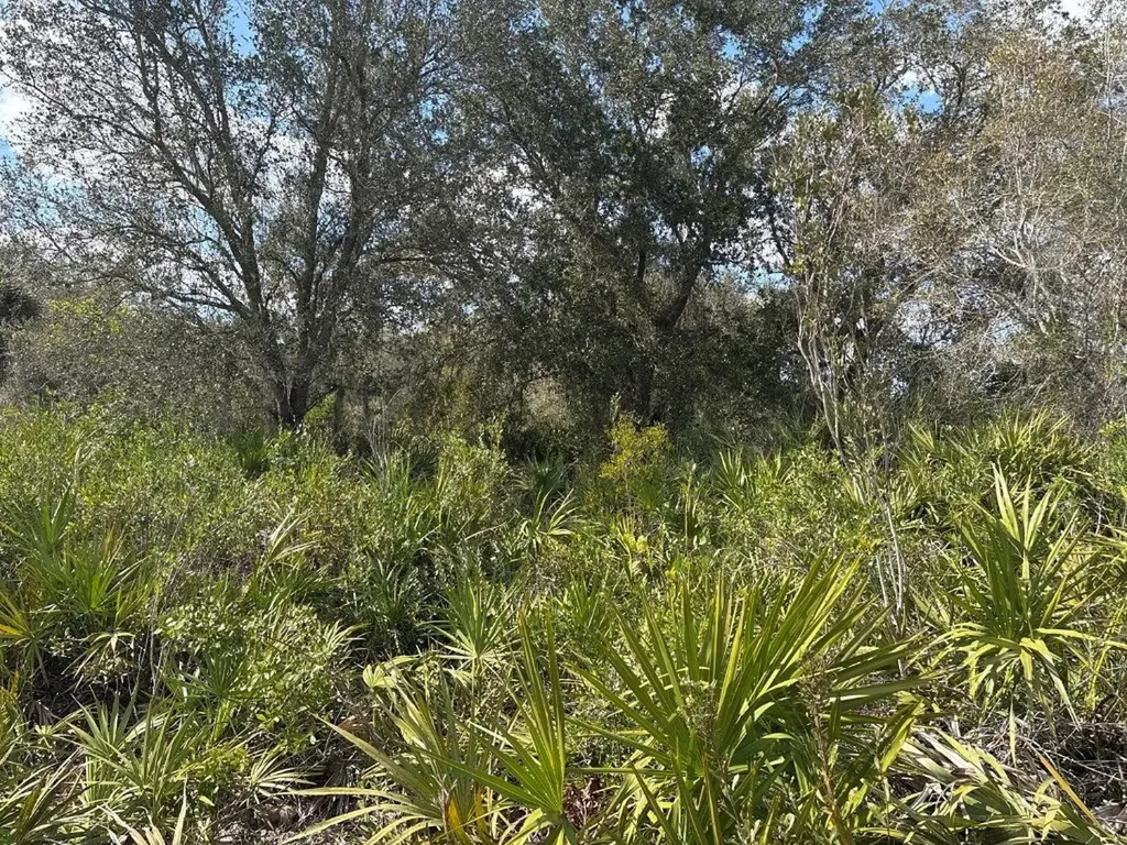 0 NW 300th Street Okeechobee FL 34972