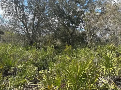 0 NW 300th Street Okeechobee FL 34972