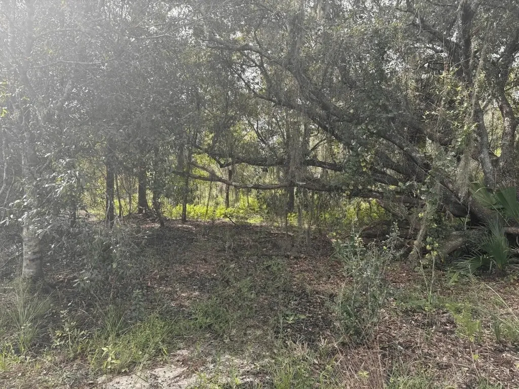 0 NW 304th Street Okeechobee FL 34972