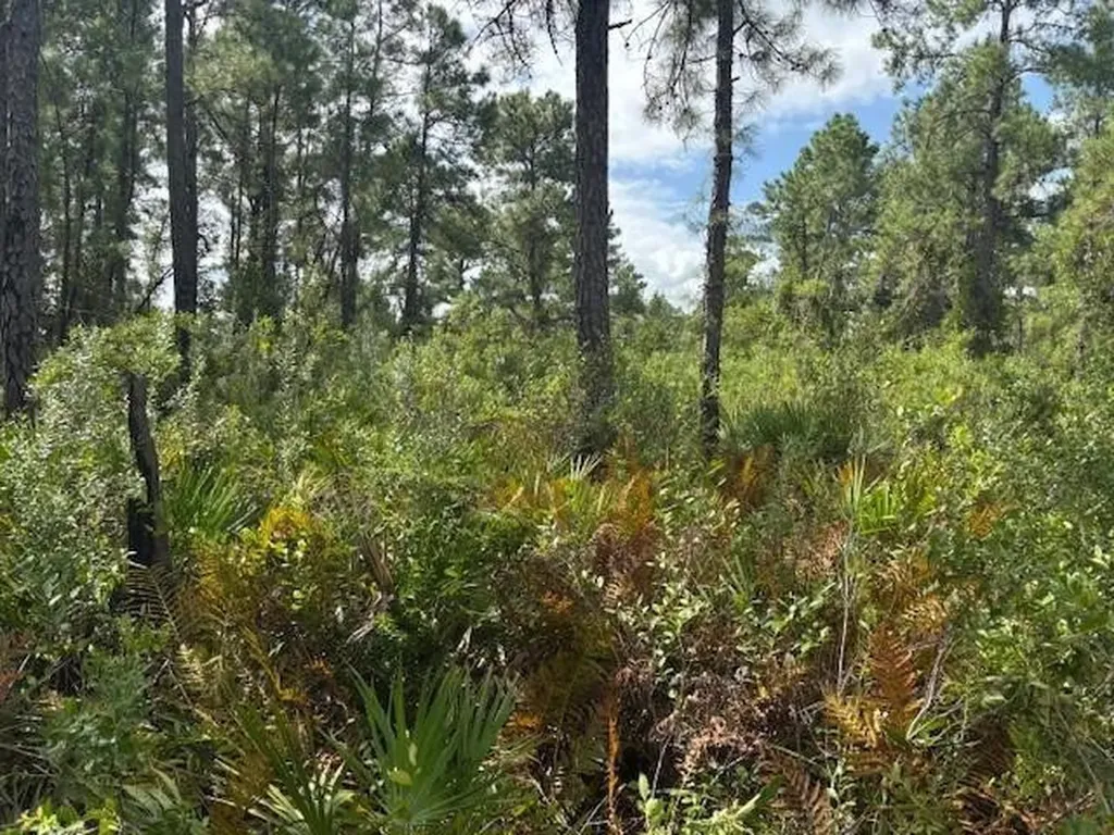 0 Hwy 630e Frostproof FL 33843