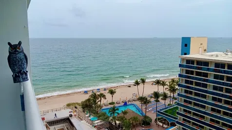 4100 Galt Ocean Drive Fort Lauderdale FL 33308