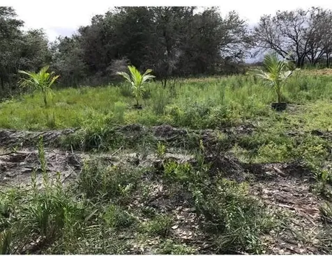 16120 NW 300th Street Okeechobee FL 34972