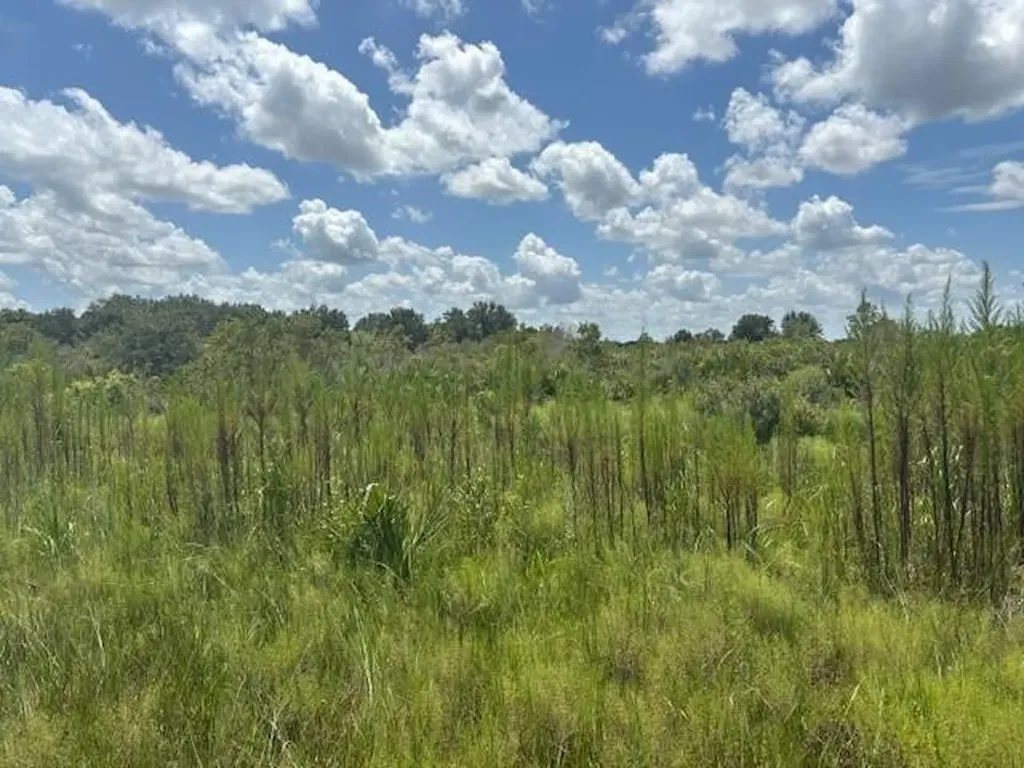 0 NW 314th Street Okeechobee FL 34972