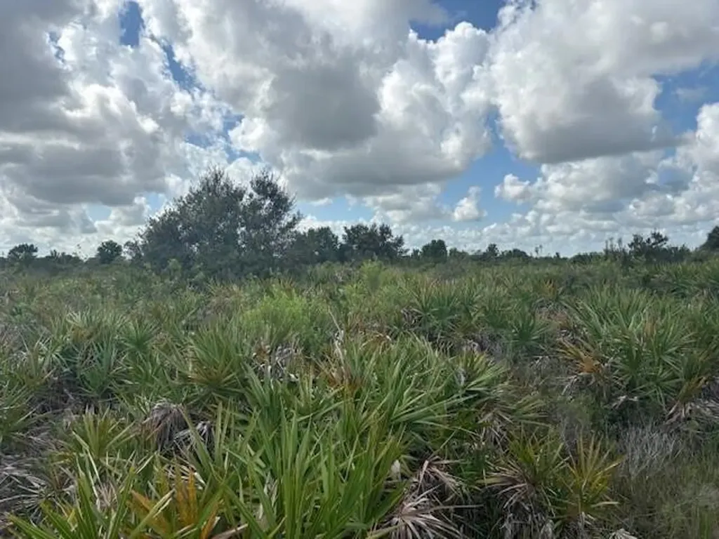 0 NW 314th Street Okeechobee FL 34972