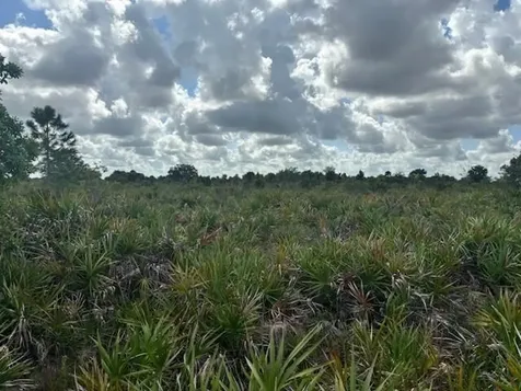 0 NW 314th Street Okeechobee FL 34972