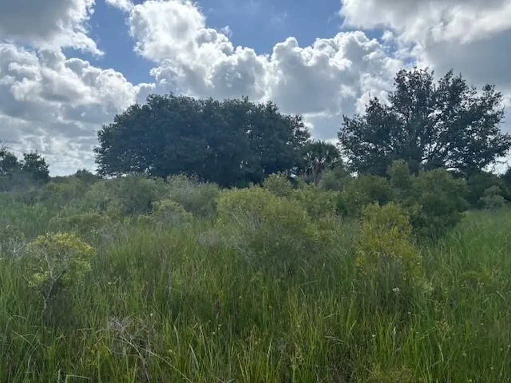 0 NW 316th Street Okeechobee FL 34972