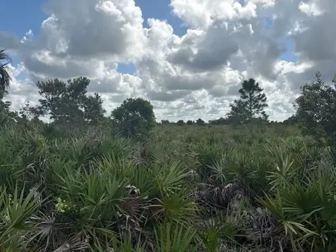0 NW 316th Street Okeechobee FL 34972