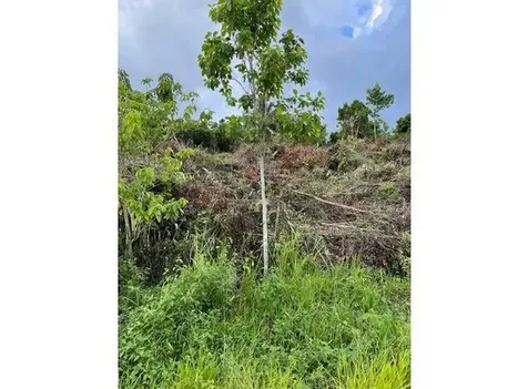 0000 139 Court Dunnellon FL 34432