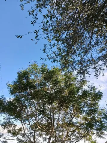 0000 139 Court Dunnellon FL 34432