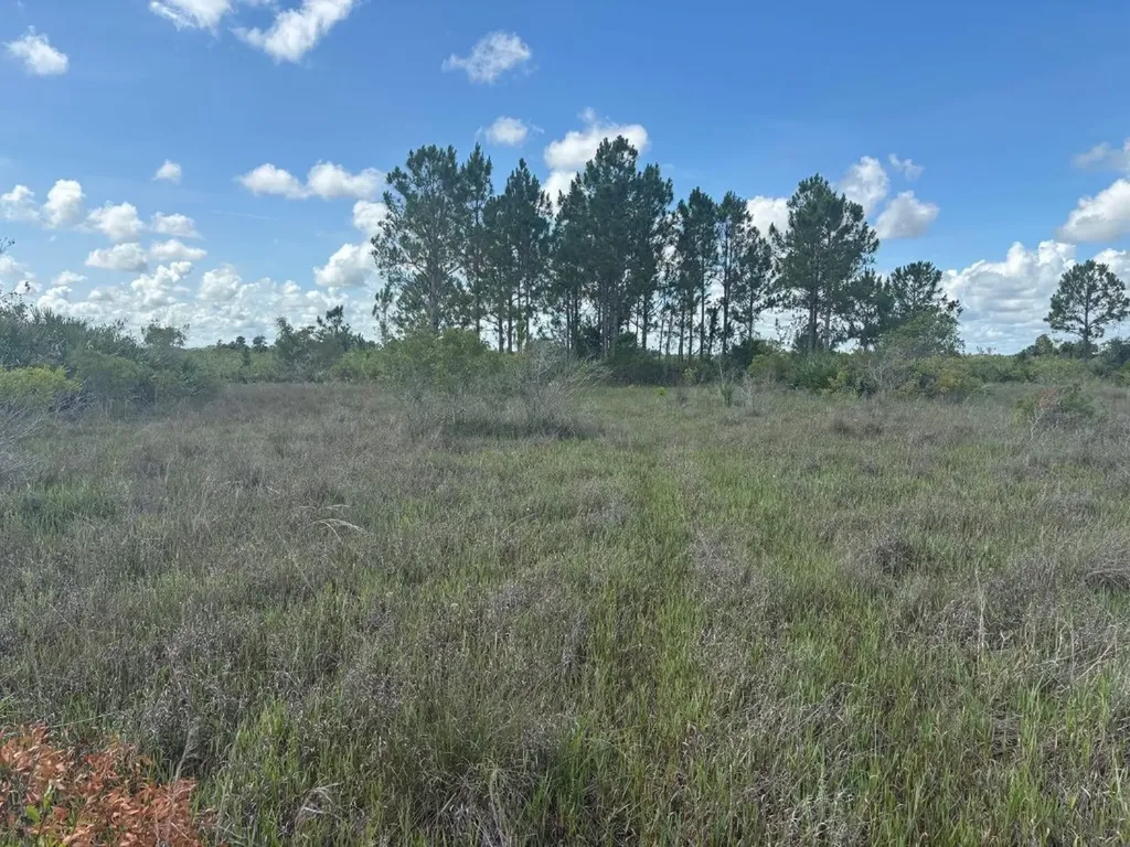 0 290th Street Okeechobee FL 34972