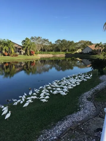 10203 NW 50th Place Coral Springs FL 33076