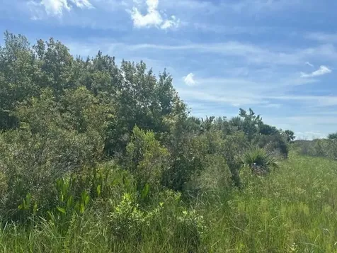 0 NW 310th Street Okeechobee FL 34972