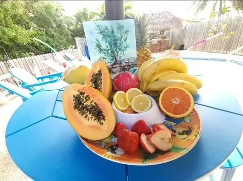 309 E Calzada De Bougainville Marathon FL 33050