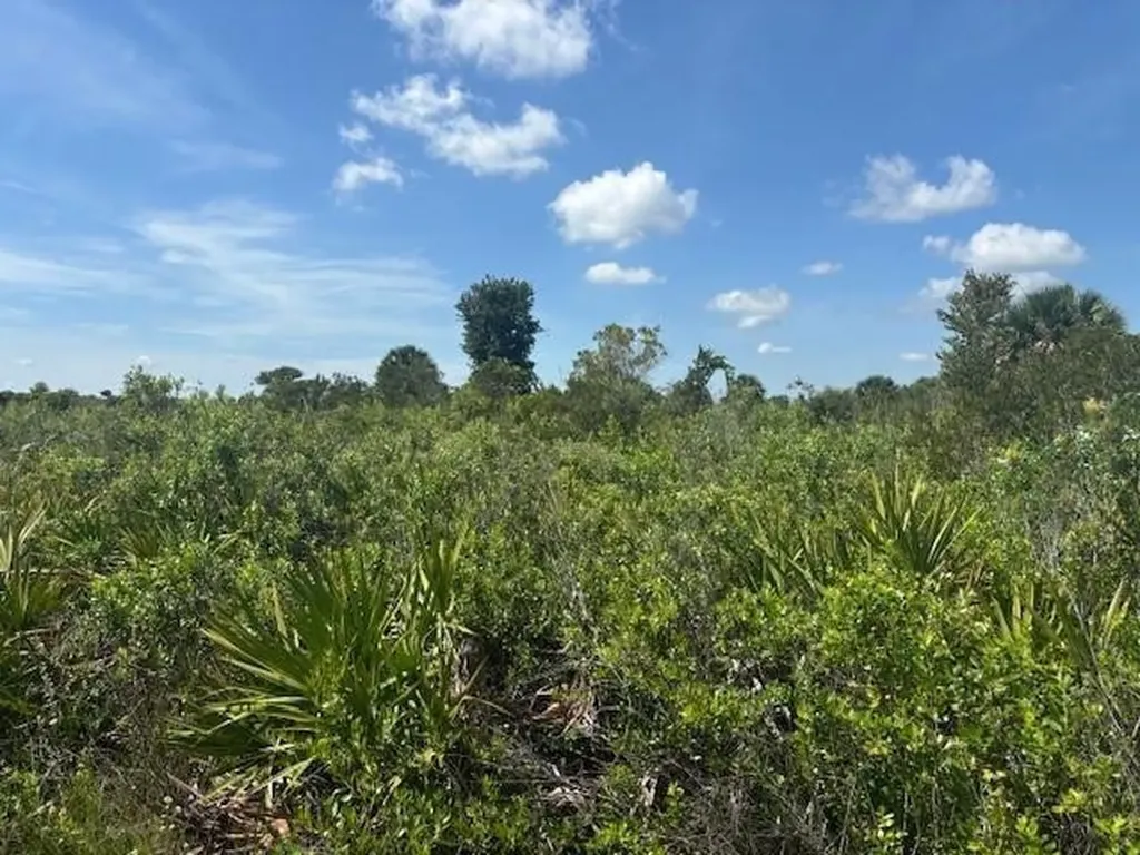 0 NW 310th Street Okeechobee FL 34972