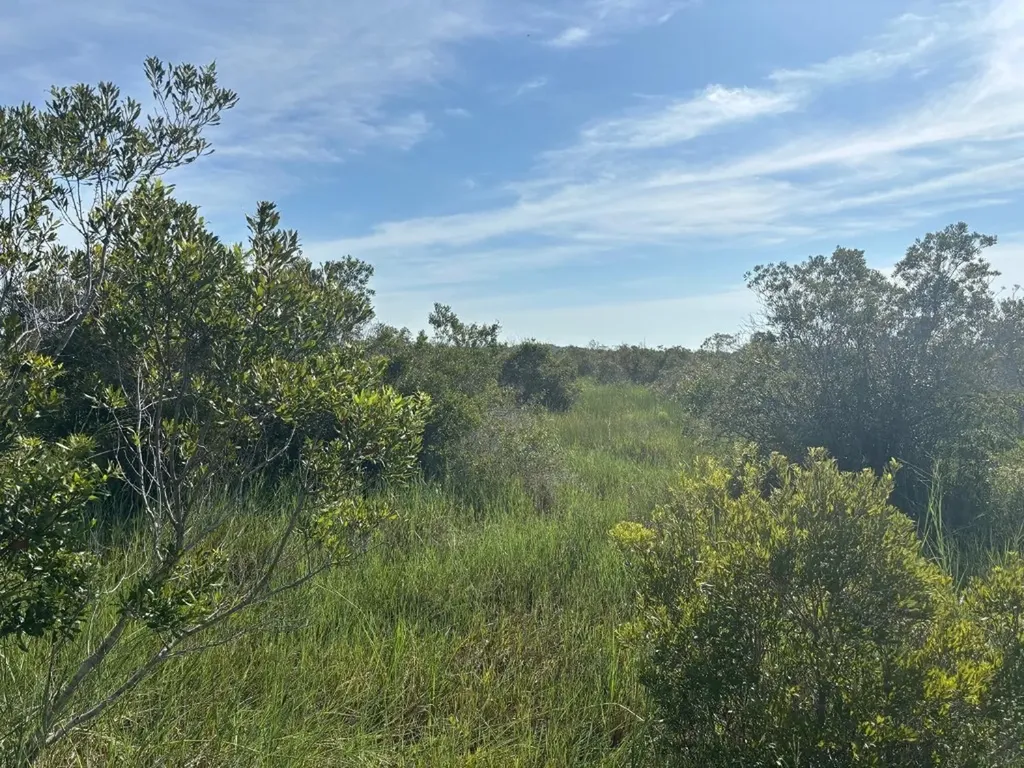 0 NW 308th Street Okeechobee FL 34972