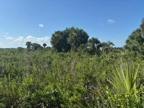 0 NW 316th Street Okeechobee FL 34972