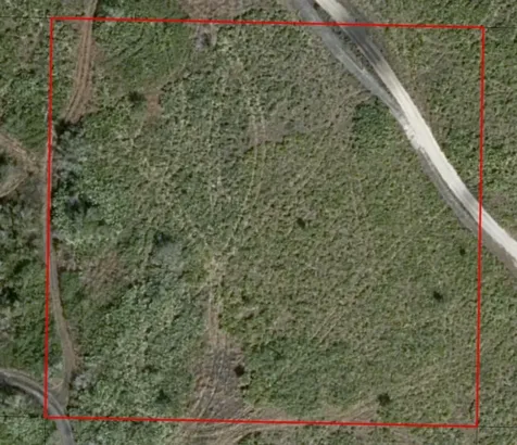 0 313th Street Okeechobee FL 34972