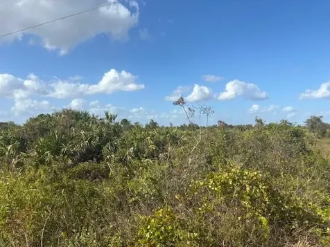 15463 NW 256th Street Okeechobee FL 34972