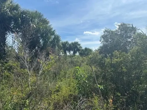 0 NW 310th Street Okeechobee FL 34972