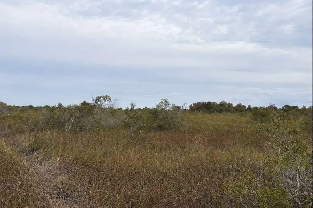 0 NW 310th Street Okeechobee FL 34972