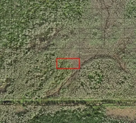 0 Holopaw Groves Road St. Cloud FL 34772