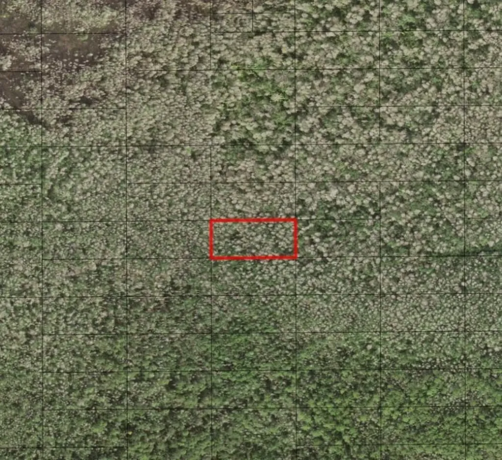 0 Holopaw Groves Road St. Cloud FL 34772