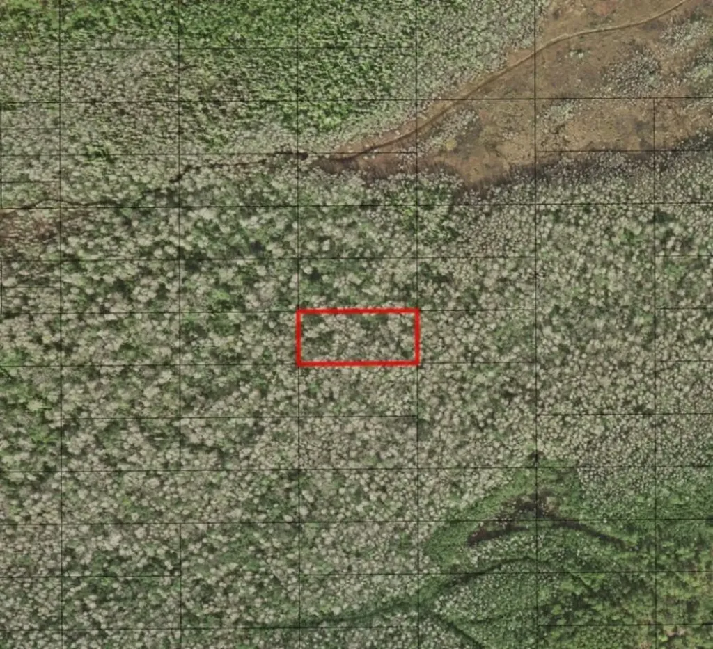 0 Holopaw Groves Road St. Cloud FL 34772