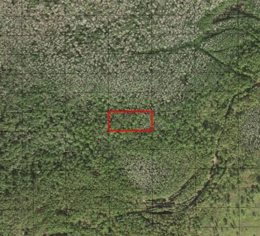0 Holopaw Groves Road St. Cloud FL 34772
