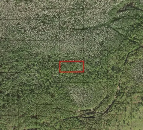 0 Holopaw Groves Road St. Cloud FL 34772