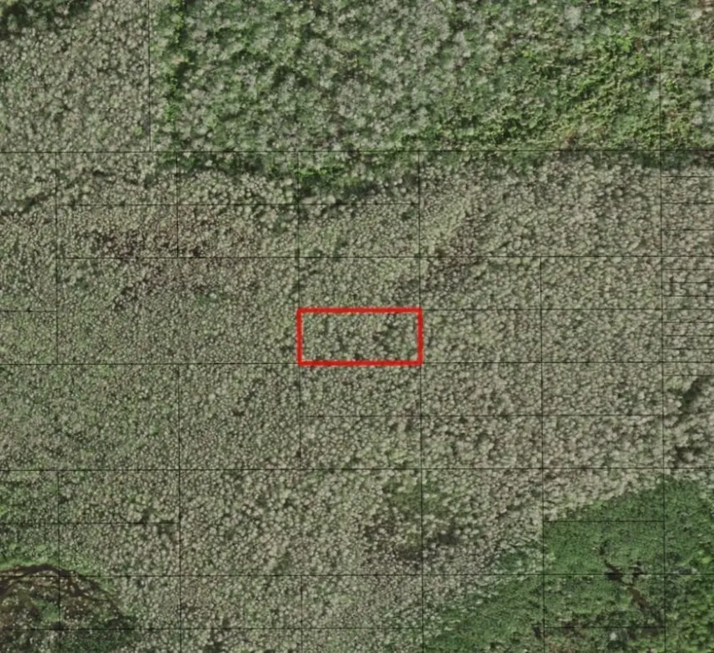 0 Holopaw Groves Road St. Cloud FL 34772