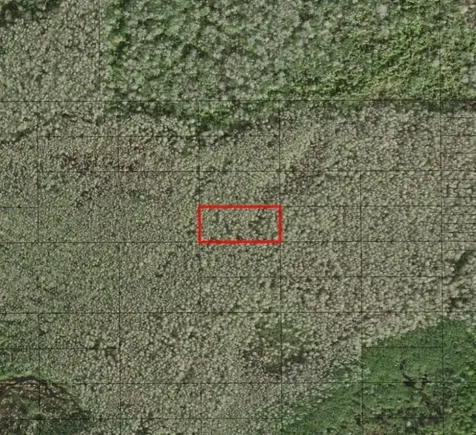 0 Holopaw Groves Road St. Cloud FL 34772