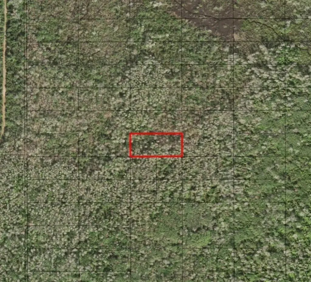 0 Holopaw Groves Road St. Cloud FL 34772