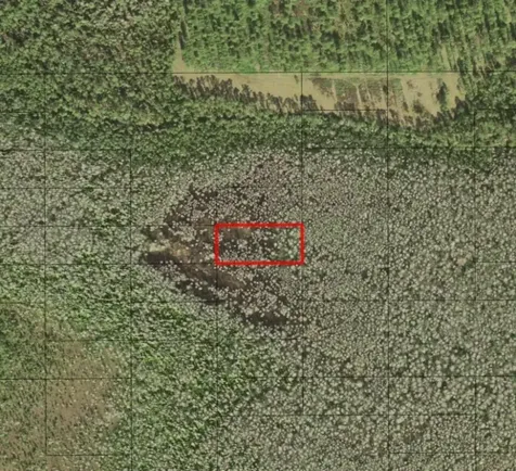 0 Holopaw Groves Road St. Cloud FL 34772