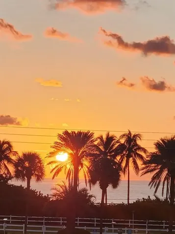 4117 E Bougainvilla Drive Lauderdale By The Sea FL 33308