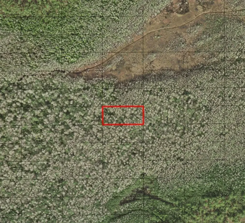 0 Holopaw Groves Road St. Cloud FL 34772