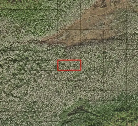0 Holopaw Groves Road St. Cloud FL 34772