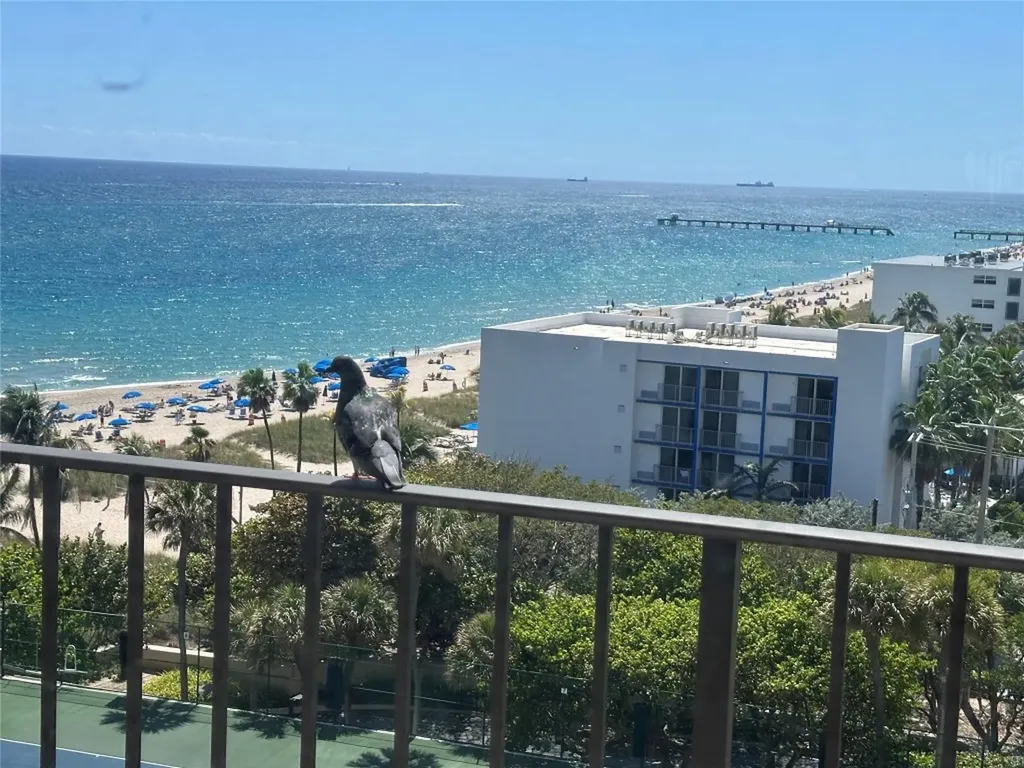 4900 N Ocean Boulevard Fort Lauderdale FL 33308