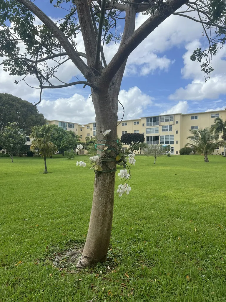 2615 NE 3rd Court Boynton Beach FL 33435