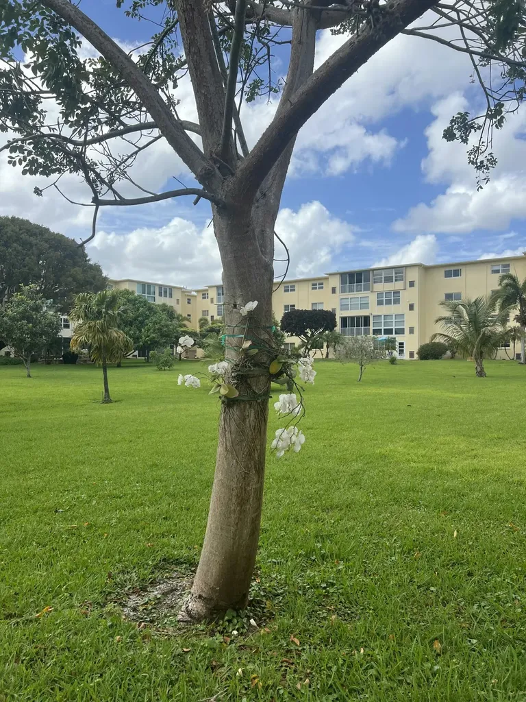 2615 NE 3rd Court Boynton Beach FL 33435