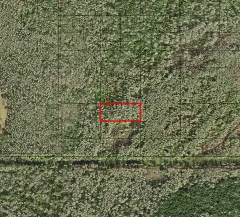 0 Holopaw Groves Road St. Cloud FL 34772