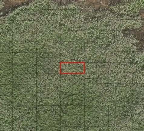 0 Holopaw Groves Road St. Cloud FL 34772