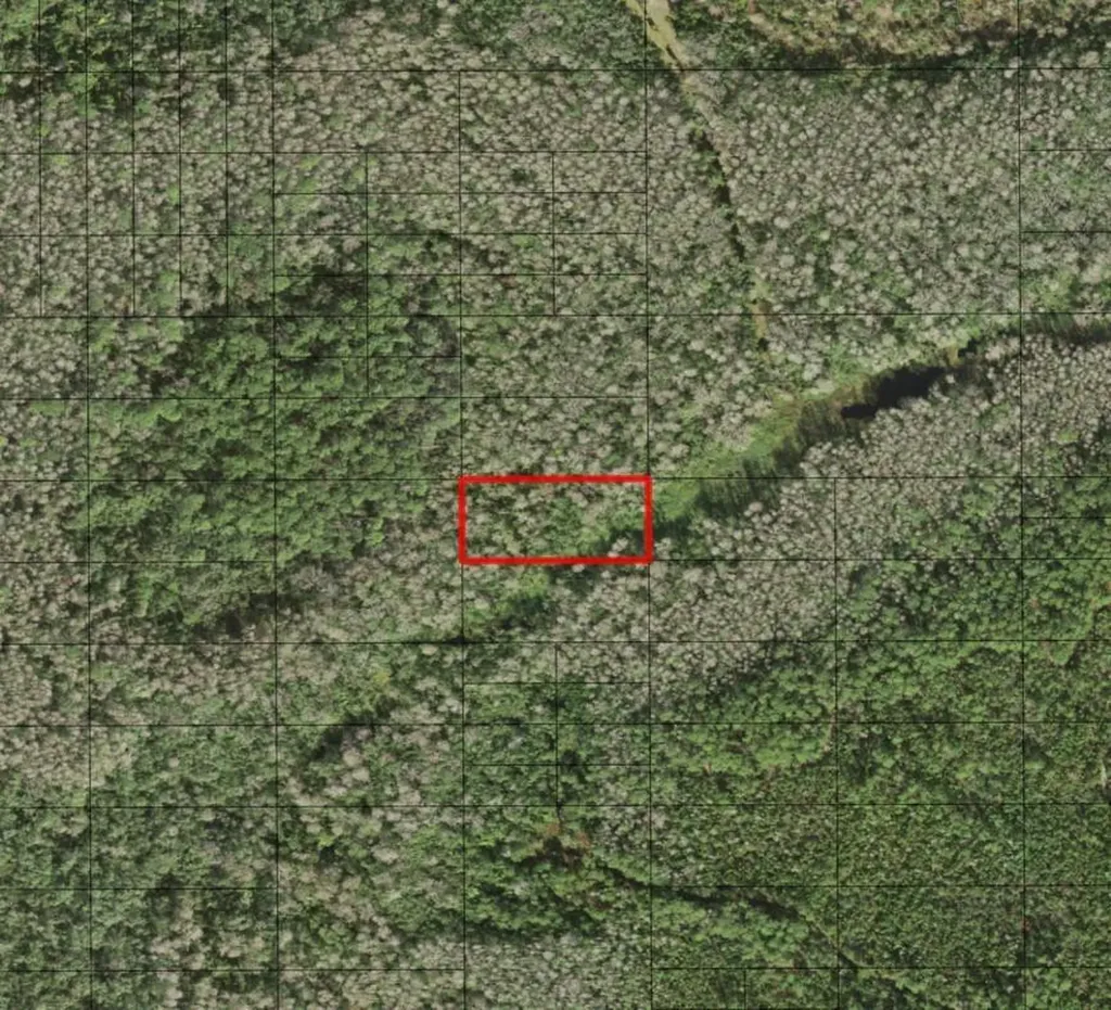 0 Holopaw Groves Road St. Cloud FL 34772