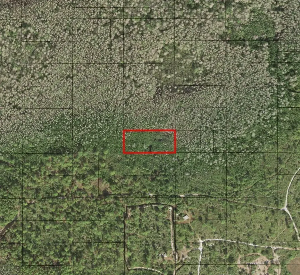 0 Holopaw Groves Road St. Cloud FL 34772