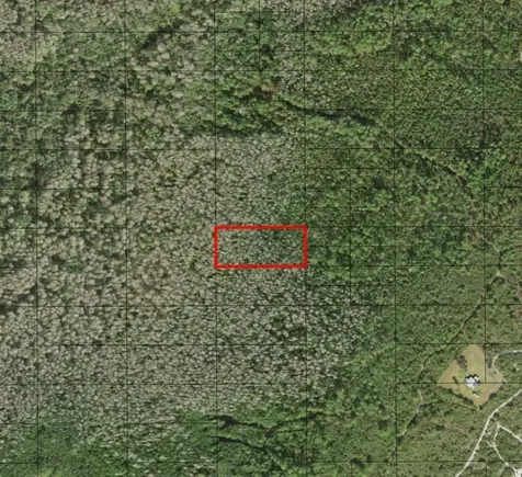 0 Holopaw Groves Road St. Cloud FL 34772