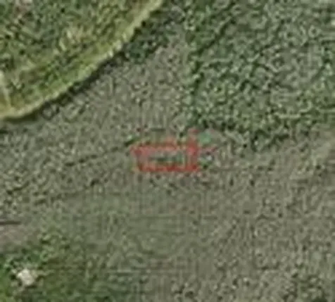 0 Holopaw Groves Road St. Cloud FL 34772